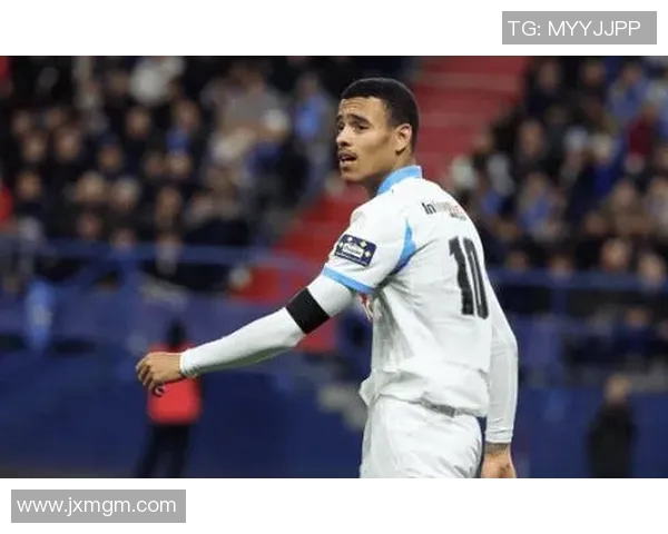 法国足球明星的风采与成就解析及其对全球足球的影响